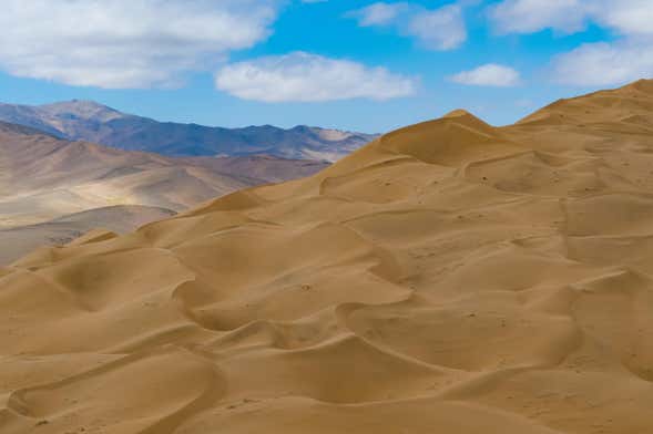Sea of Dunes in the Atacama Region Day Trip
