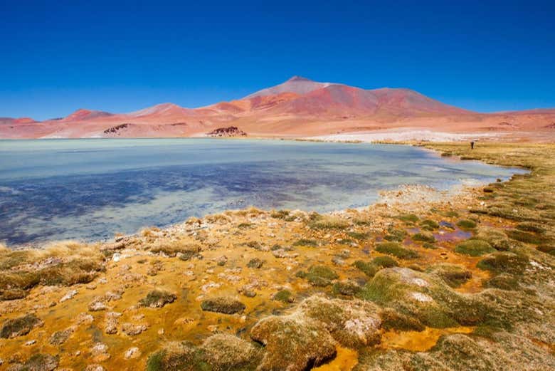 Panorâmica da lagoa de Santa Rosa