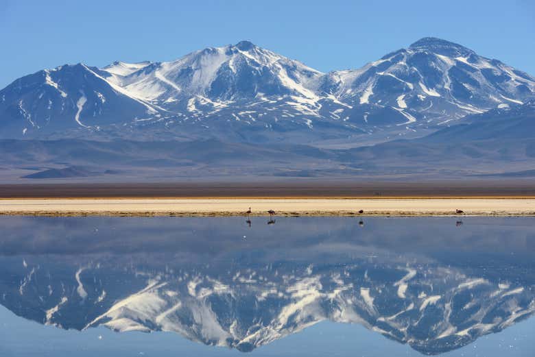 See the Santa Rosa lagoon