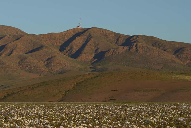 Montañas del valle de Atacama