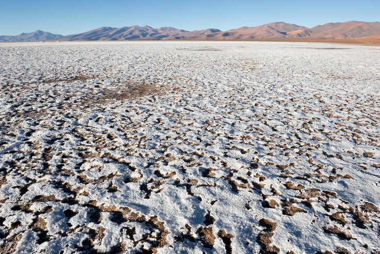 Explorando el salar de Maricunga