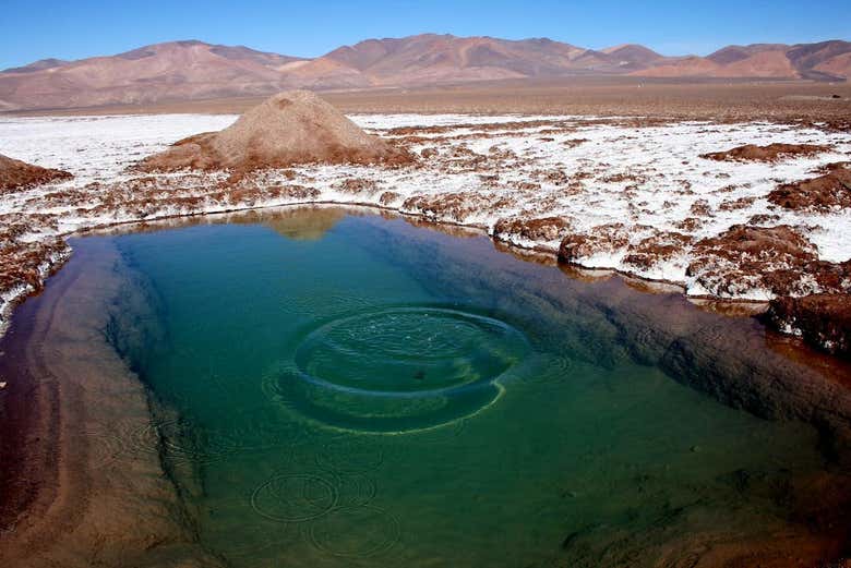 Panorámica del salar de Maricunga