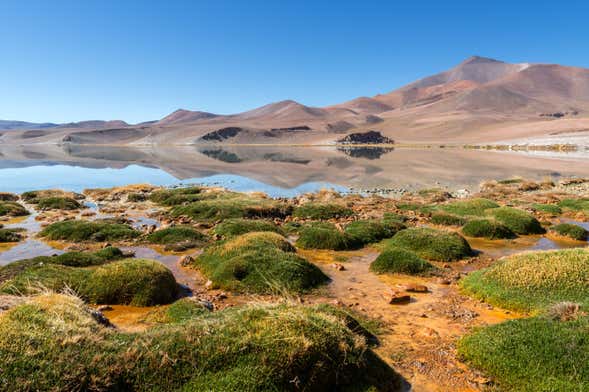 Tour de 2 dias pelas lagoas da região de Atacama