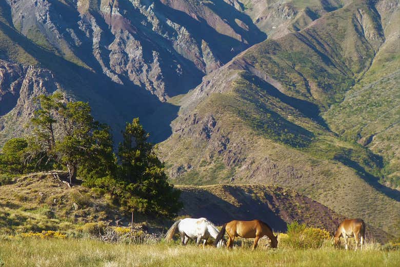 Paisagens andinas da rota de La Herradura