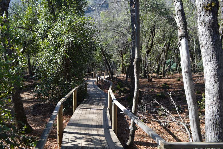 Caminhos do Parque Nacional Siete Tazas