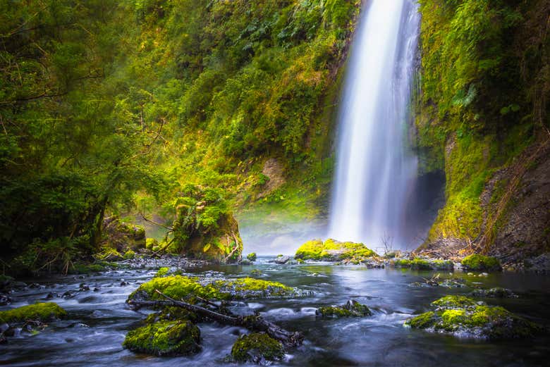 Tocoihue Waterfalls