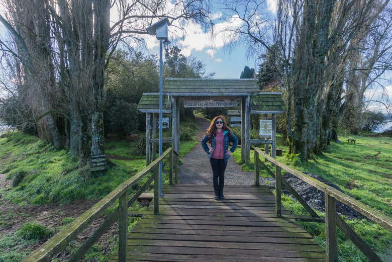 Visitando a ilha das Almas Navegantes