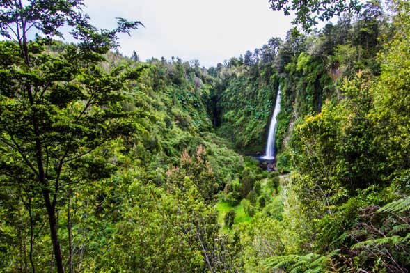 Chaiguen Park, Aucar & Tocoihue Waterfalls Trip