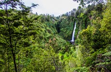 Chaiguen Park, Aucar & Tocoihue Waterfalls Trip