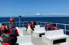 Passeio de barco pelo lago Llanquihue