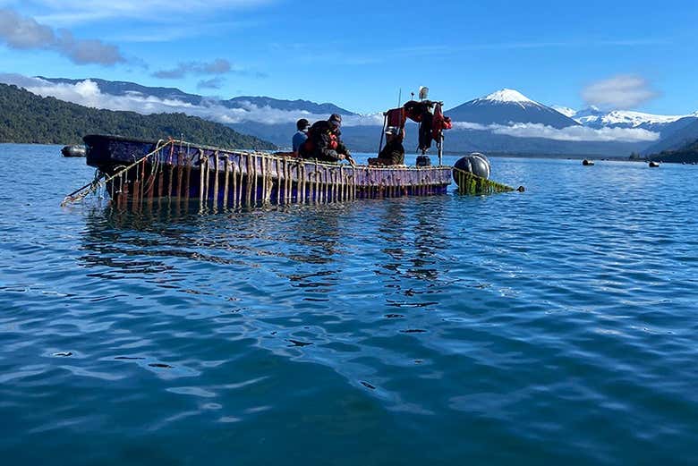 Paesaggi della baia di Hornopirén