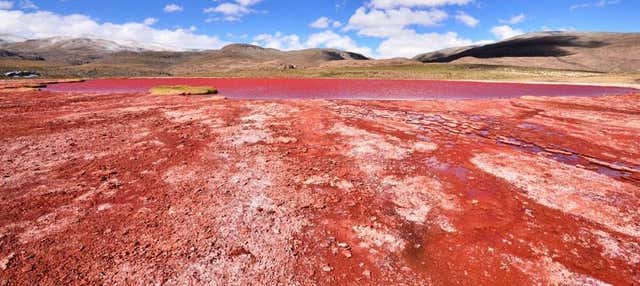 Excursion à la lagune Rouge