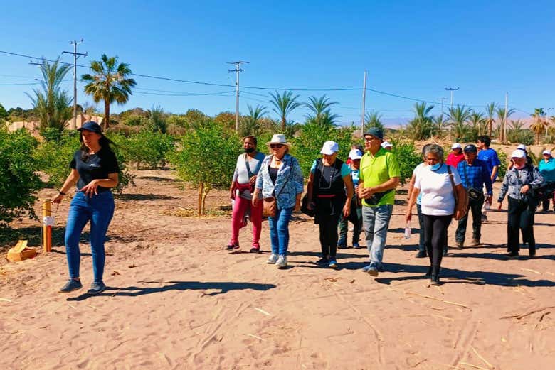 Recorriendo los campos de cultivo