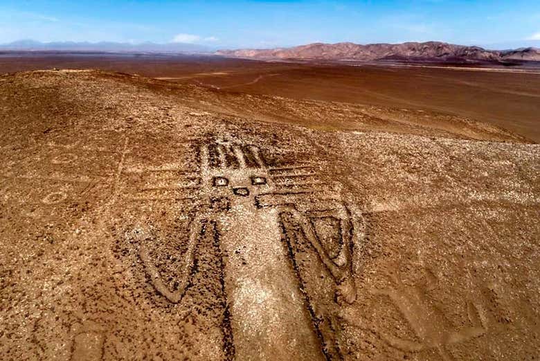 Gigante de Tarapacá