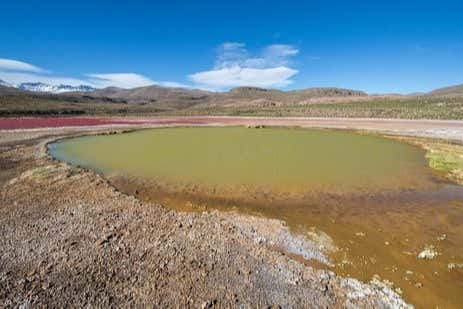 Laguna Verde