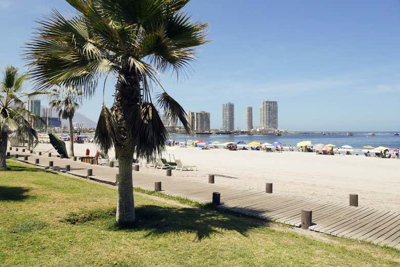 Spiaggia della penisola di Cavancha