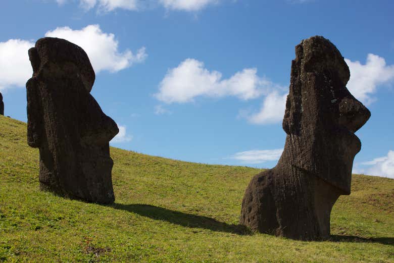I moai di Rano Raraku