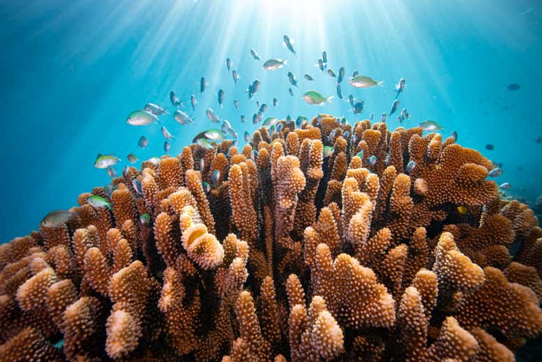 Ci imbatteremo in specie uniche al mondo!