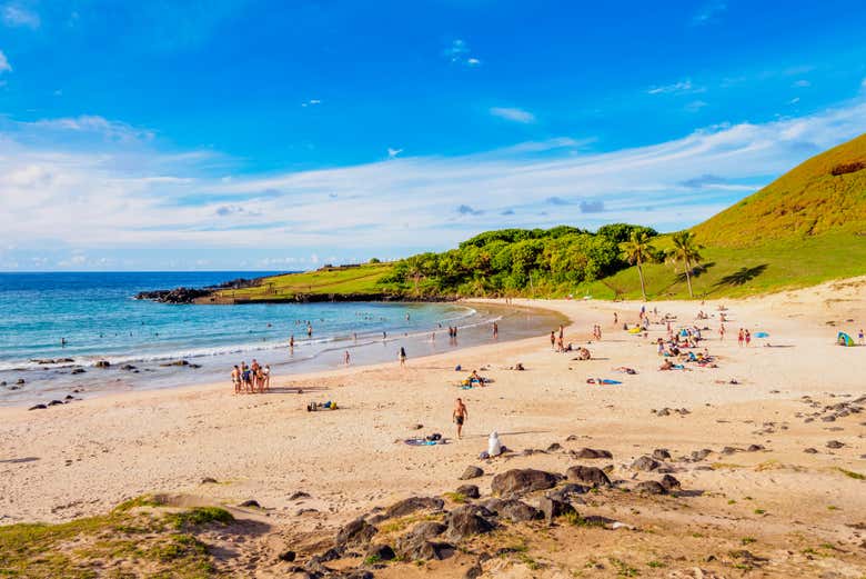Visit the beach of Anakena