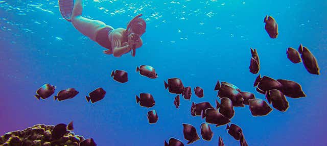 Snorkel en la playa de Ovahe