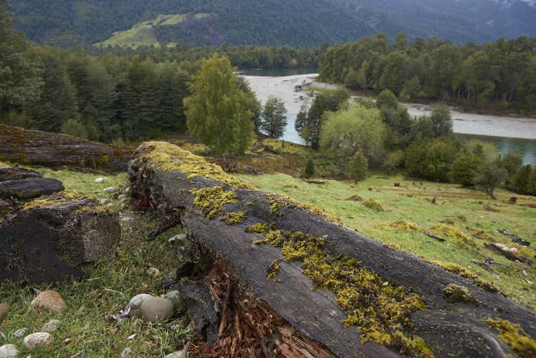 Cauce del río Palena