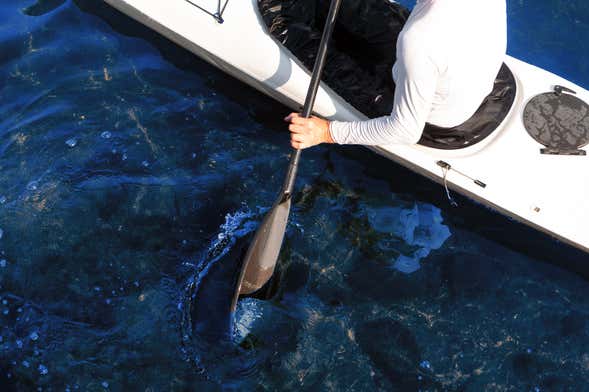 Tour en kayak por el lago Rosselot desde La Junta