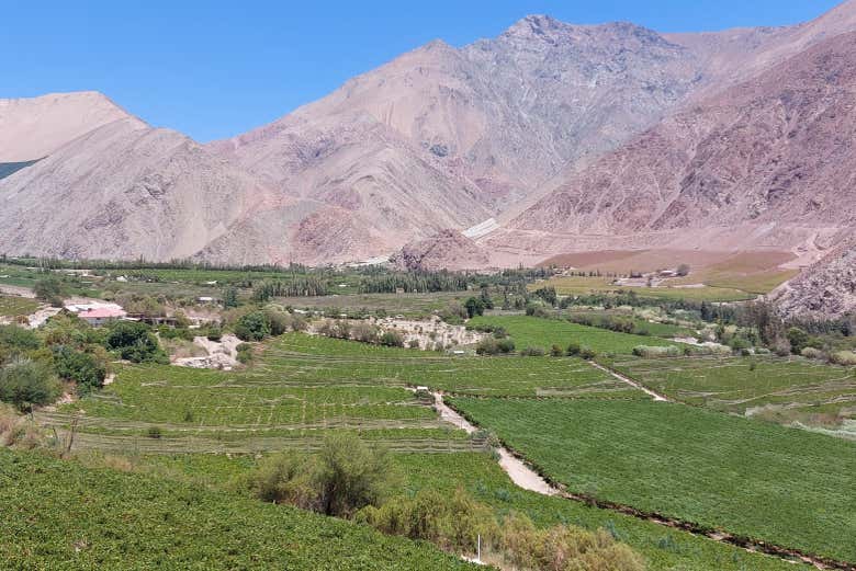The Elqui Valley is famous for its contrasting landscapes
