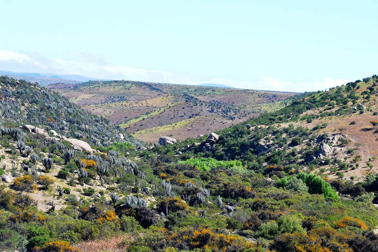 Découvrez les contrastes du Valle de l'Encanto