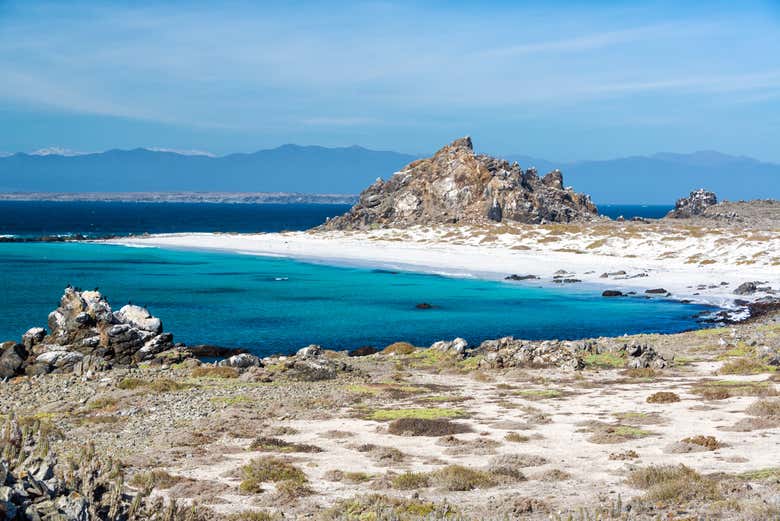 Plage de l'île de Damas
