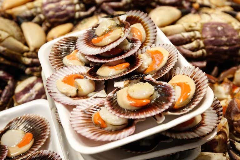 Try fresh scallops!