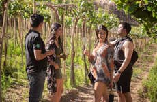 Tour do pisco, do vinho e da cerveja pelo Vale do Elqui