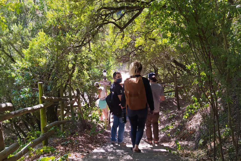 Disfrutando de la caminata por el parque