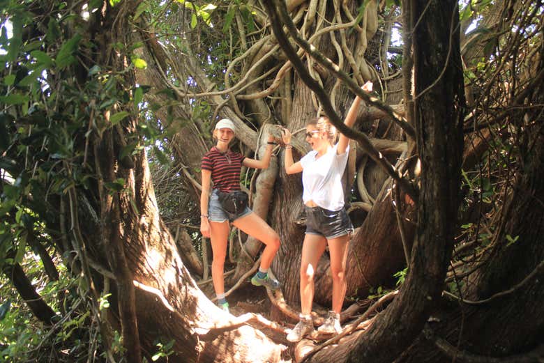 Disfrutando del sendero Las Chilcas