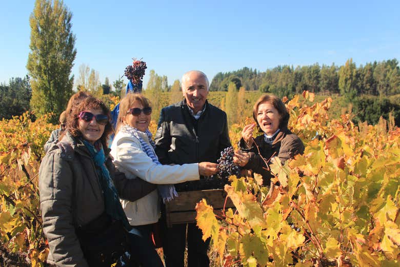 Visitando los viñedos de Biobío