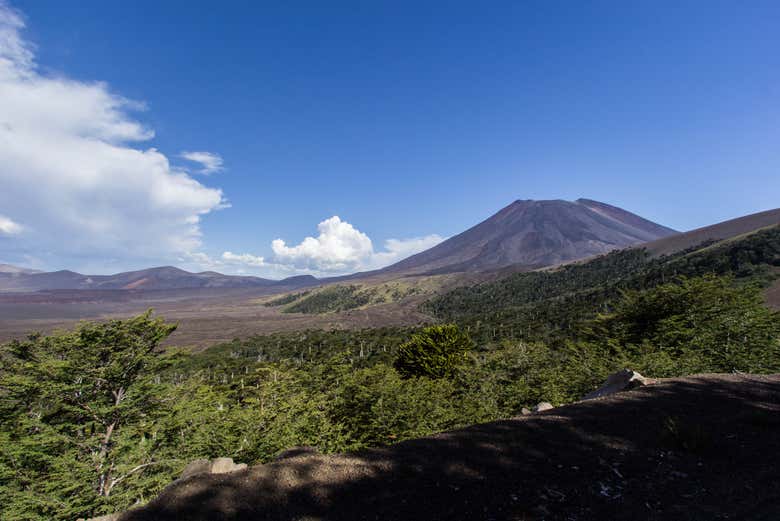 Vulcano Lonquimay