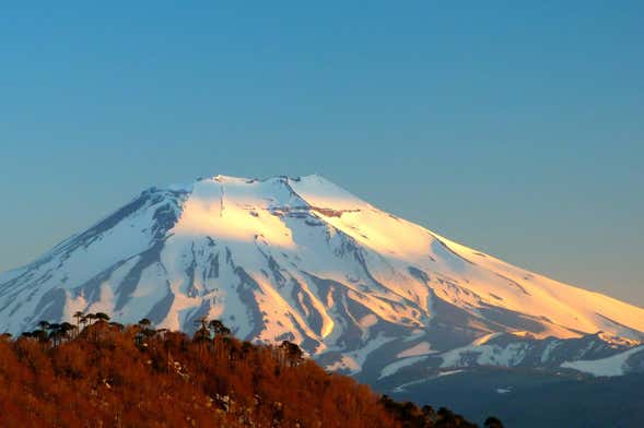 Lonquimay Volcano Hiking Excursion