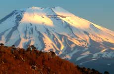 Trekking de ascenso al volcán Lonquimay