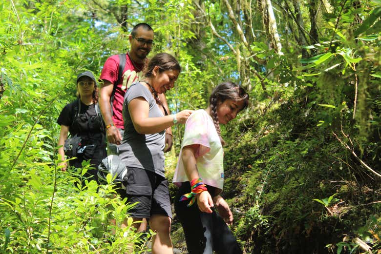 Caminata hacia la cascada