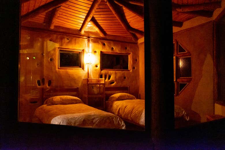 Chambre de l'Eco Lodge