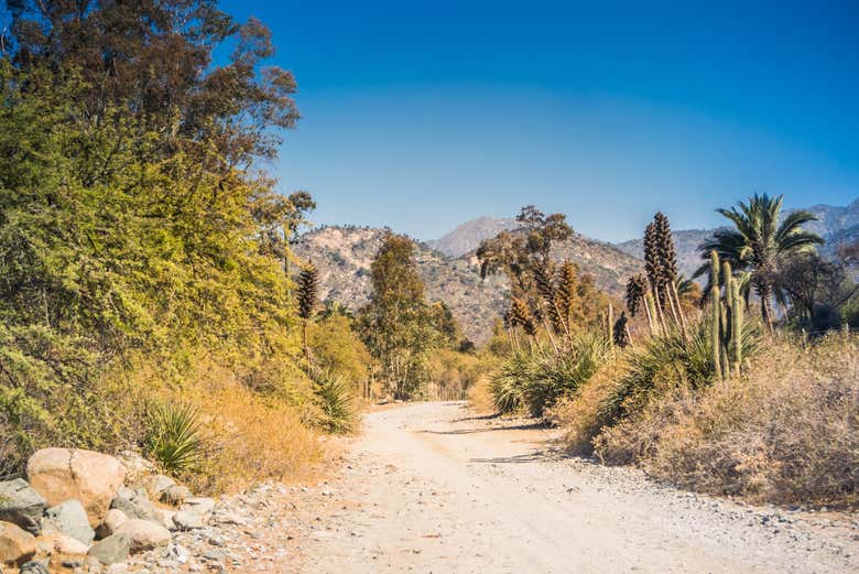 Parc national La Campana