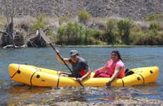 Escursione alla palude del fiume Limarí + Tour in kayak