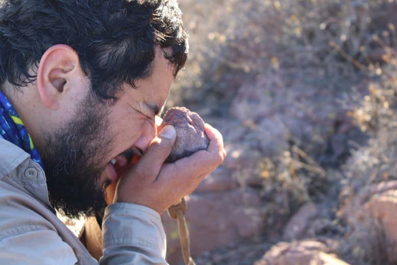 Guida esperta in geologia