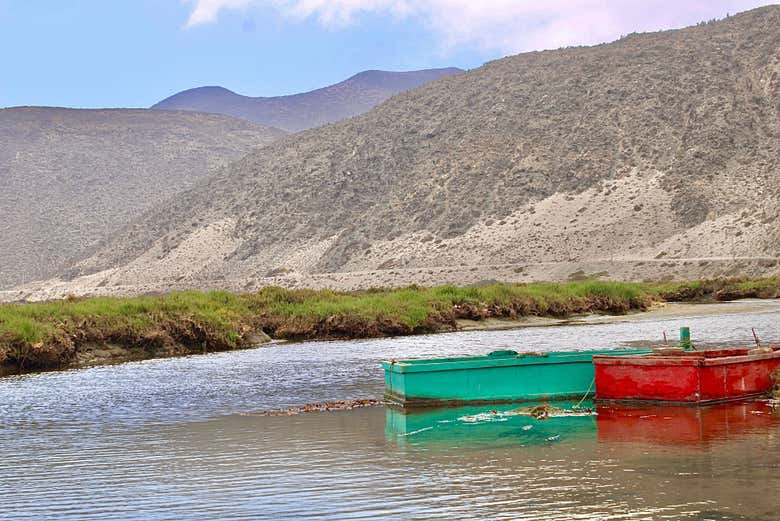 Ambiente naturale del fiume Limarí