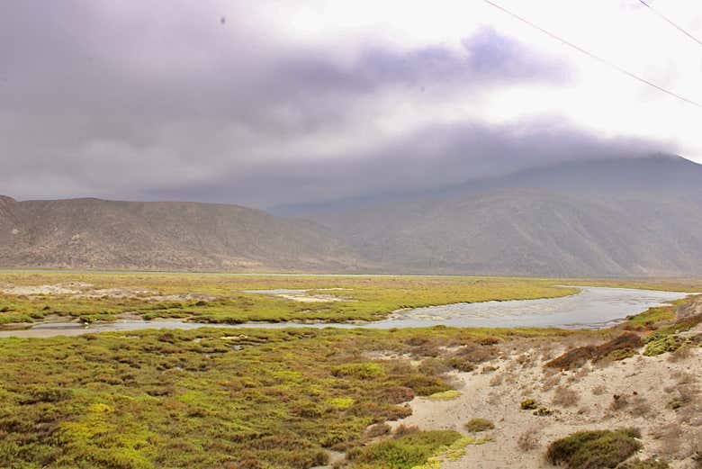 Paesaggi del fiume Limarí