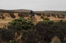 Tour della palude del fiume Limarí in bicicletta