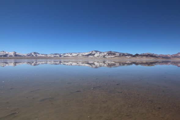 Day Trip to the Huasco Salt Flats + Tambillo