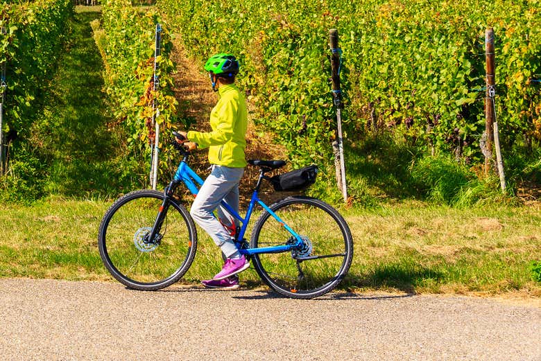 Cycling through the vineyards