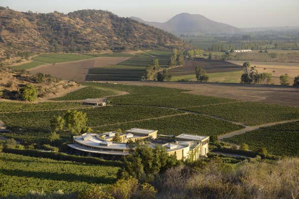 Viña Haras de Pirque Winery Bike Tour