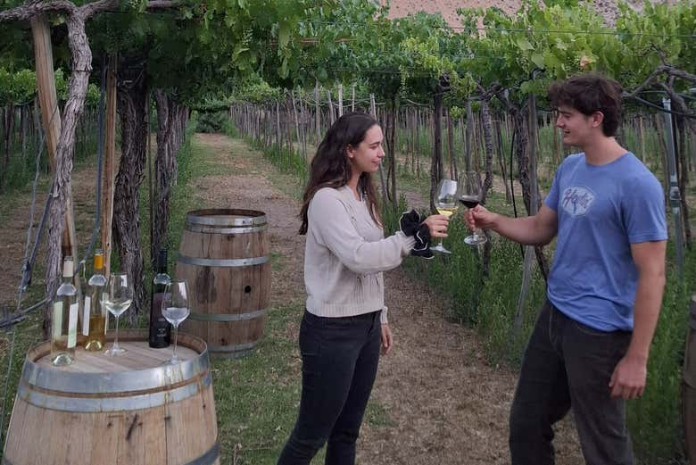 Disfrutando de la cata de vinos junto a los viñedos