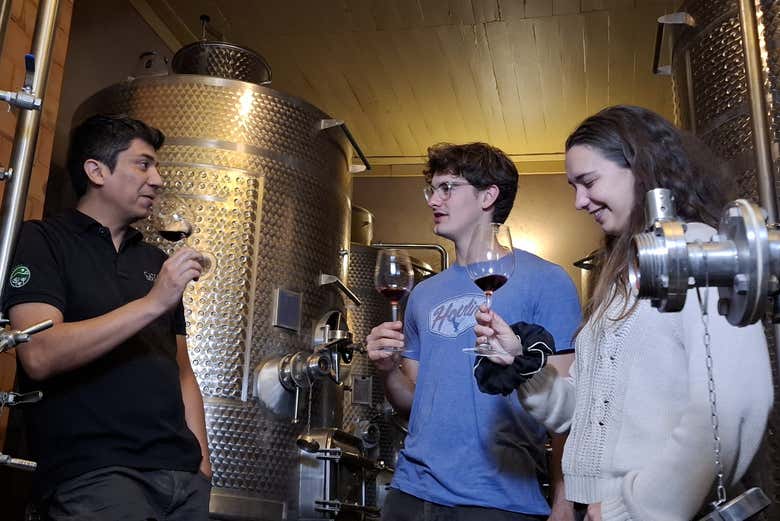 Dégustation de vins